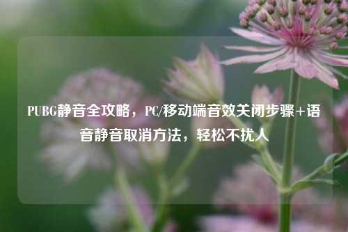PUBG静音全攻略,PC/移动端音效关闭步骤+语音静音取消方法,轻松不扰人