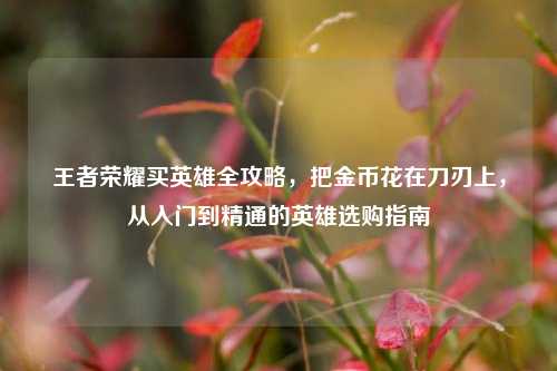 王者荣耀买英雄全攻略，把金币花在刀刃上，从入门到精通的英雄选购指南