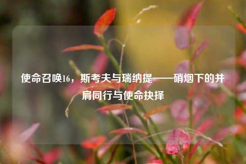 使命召唤16,斯考夫与瑞纳提——硝烟下的并肩同行与使命抉择
