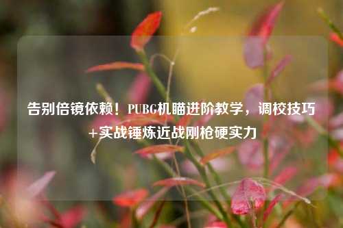 告别倍镜依赖！PUBG机瞄进阶教学，调校技巧+实战锤炼近战刚枪硬实力