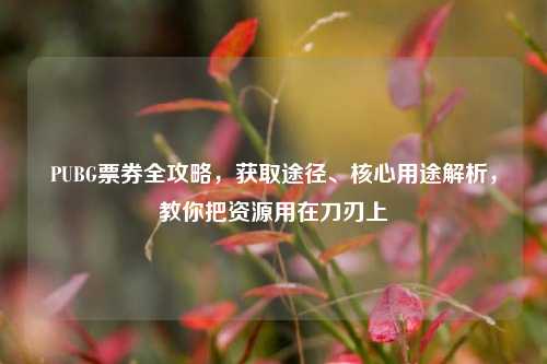 PUBG票券全攻略，获取途径、核心用途解析，教你把资源用在刀刃上