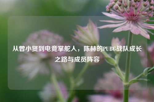 从曾小贤到电竞掌舵人，陈赫的PUBG战队成长之路与成员阵容