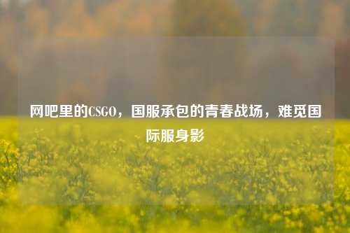 网吧里的CSGO，国服承包的青春战场，难觅国际服身影