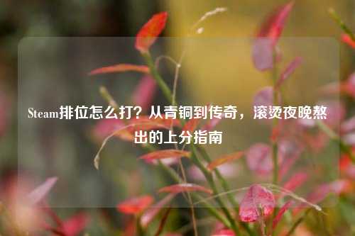 Steam排位怎么打？从青铜到传奇，滚烫夜晚熬出的上分指南