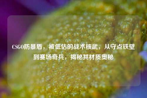 CSGO防暴盾,被低估的战术核武,从守点铁壁到赛场奇兵,揭秘其材质奥秘