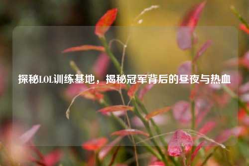 探秘LOL训练基地,揭秘冠军背后的昼夜与热血