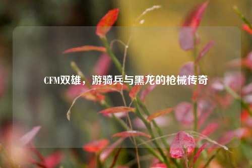 CFM双雄，游骑兵与黑龙的枪械传奇