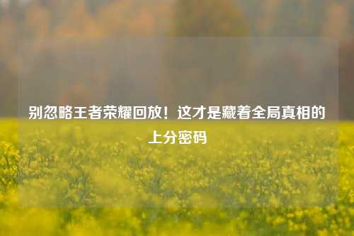 别忽略王者荣耀回放!这才是藏着全局真相的上分密码