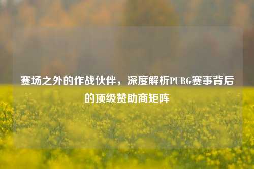 赛场之外的作战伙伴，深度解析PUBG赛事背后的顶级赞助商矩阵