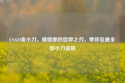 CS:GO金小刀，硝烟里的信仰之刃，带你览遍全部小刀皮肤