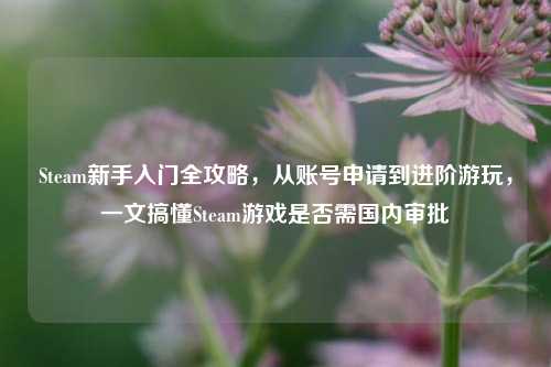 Steam新手入门全攻略，从账号申请到进阶游玩，一文搞懂Steam游戏是否需国内审批