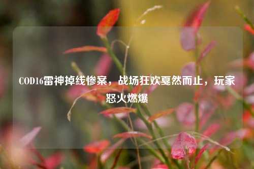 COD16雷神掉线惨案，战场狂欢戛然而止，玩家怒火燃爆