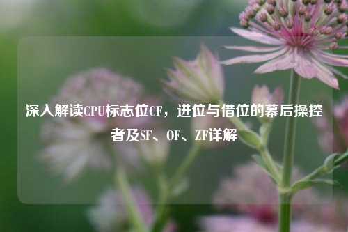深入解读CPU标志位CF，进位与借位的幕后操控者及SF、OF、ZF详解