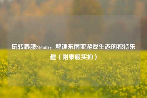 玩转泰服Steam,解锁东南亚游戏生态的独特乐趣(附泰服实拍)