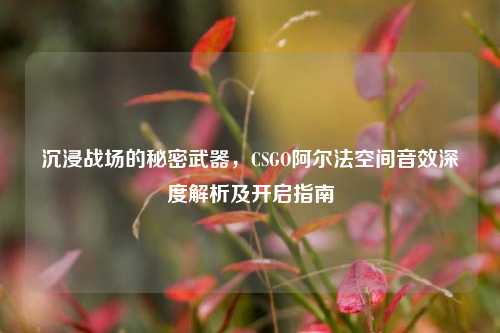 沉浸战场的秘密武器，CSGO阿尔法空间音效深度解析及开启指南