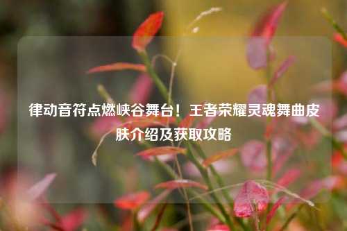律动音符点燃峡谷舞台！王者荣耀灵魂舞曲皮肤介绍及获取攻略