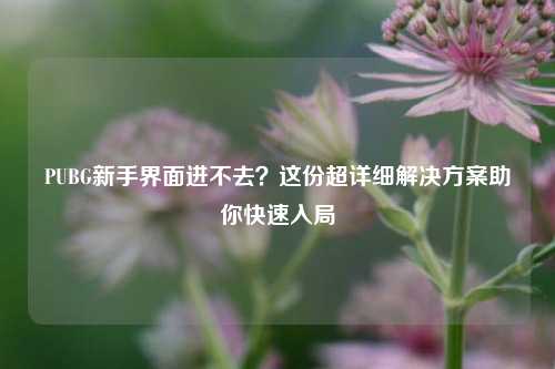 PUBG新手界面进不去？这份超详细解决方案助你快速入局