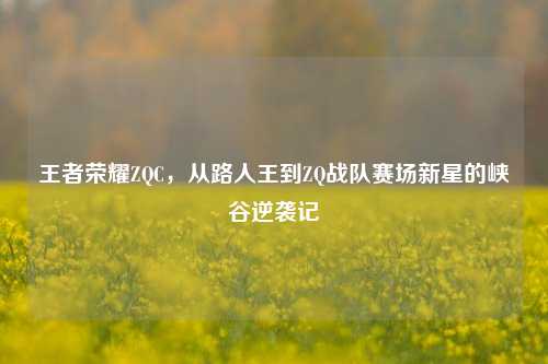 王者荣耀ZQC,从路人王到ZQ战队赛场新星的峡谷逆袭记