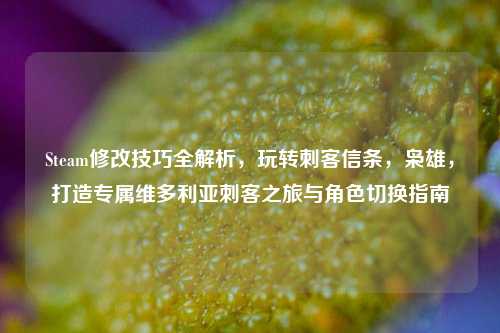 Steam修改技巧全解析,玩转刺客信条,枭雄,打造专属维多利亚刺客之旅与角色切换指南