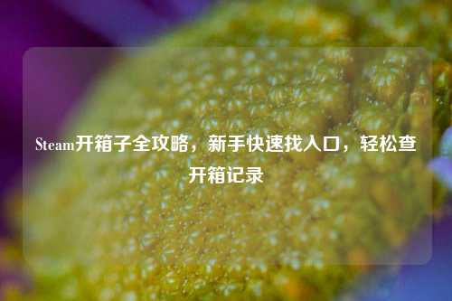 Steam开箱子全攻略,新手快速找入口,轻松查开箱记录
