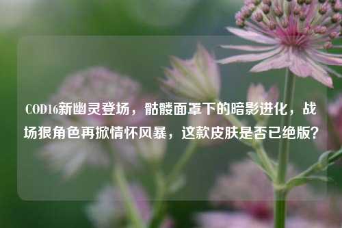 COD16新幽灵登场，骷髅面罩下的暗影进化，战场狠角色再掀情怀风暴，这款皮肤是否已绝版？