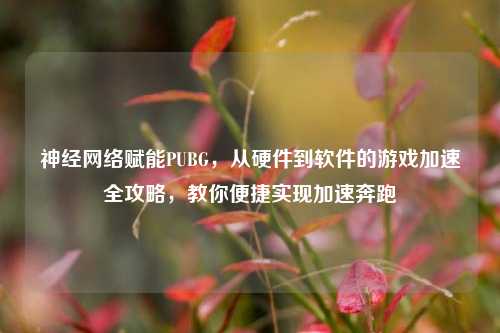 神经网络赋能PUBG，从硬件到软件的游戏加速全攻略，教你便捷实现加速奔跑
