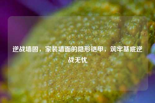逆战墙固,家装墙面的隐形铠甲,筑牢基底逆战无忧