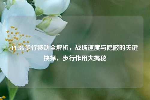 PUBG步行移动全解析,战场速度与隐蔽的关键抉择,步行作用大揭秘