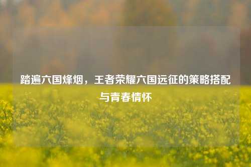 踏遍六国烽烟，王者荣耀六国远征的策略搭配与青春情怀