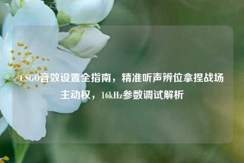 CSGO音效设置全指南，精准听声辨位拿捏战场主动权，16kHz参数调试解析