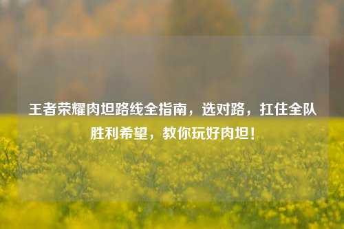 王者荣耀肉坦路线全指南，选对路，扛住全队胜利希望，教你玩好肉坦！