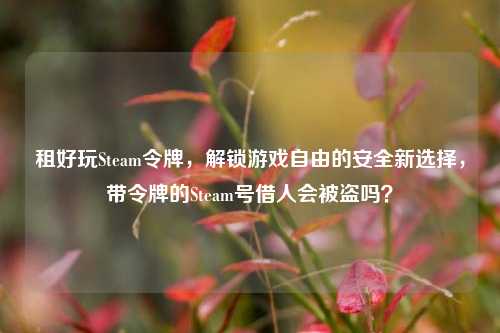 租好玩Steam令牌，解锁游戏自由的安全新选择，带令牌的Steam号借人会被盗吗？