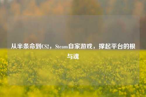 从半条命到CS2，Steam自家游戏，撑起平台的根与魂